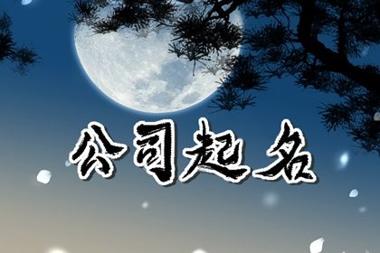 会发财的公司名 有财运发展的公司名字